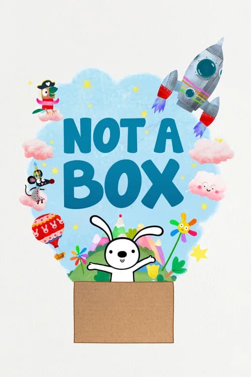 Not a Box poster