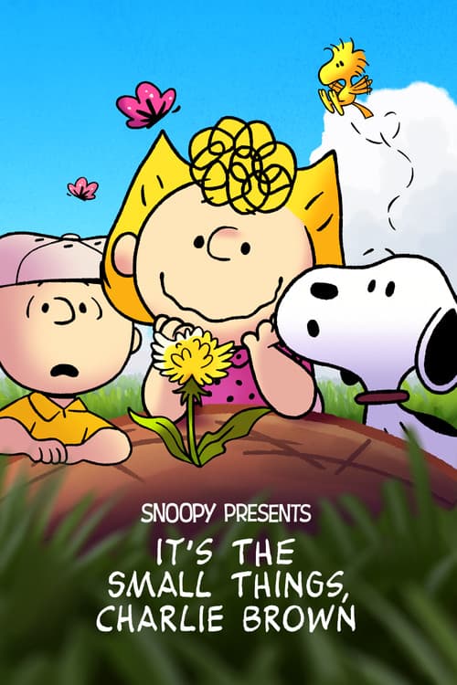 Snoopy Presents: It's the Small Things, Charlie Brown poster