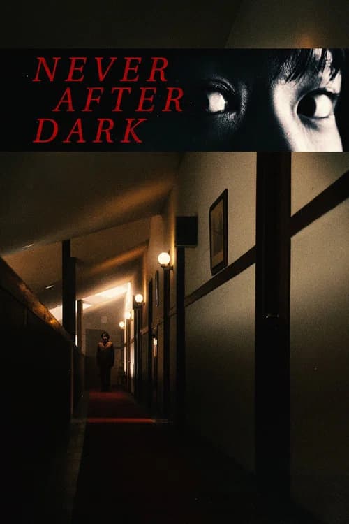Never After Dark poster