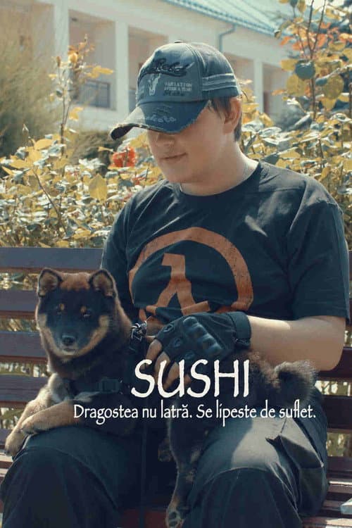 Sushi poster
