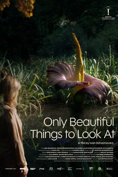 Only Beautiful Things to Look At poster