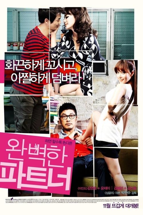 My Secret Partner poster