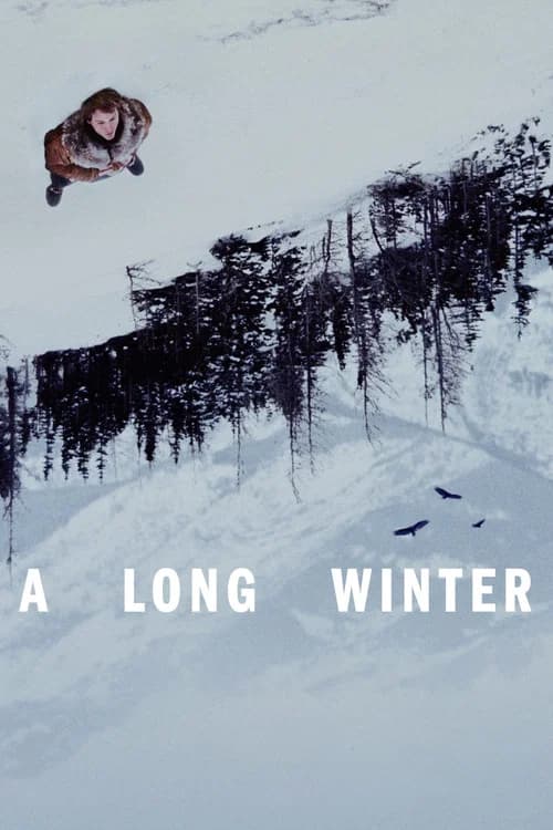 A Long Winter poster