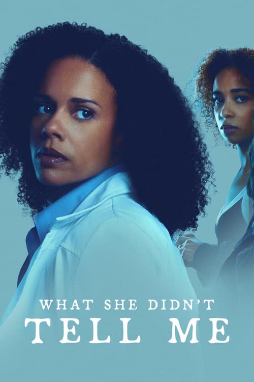 What She Didn't Tell Me poster